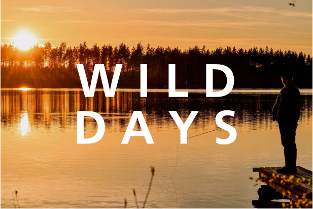 W I L D D A Y S