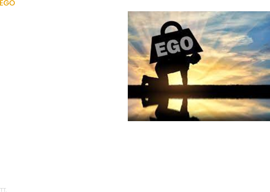 EGO Leave your EGO at home or in the car or wherever you need to fucking store it.  But do not bring it to the lake.  Mincing about the water, gobbing off at the top of your voice about Carp Fishing and how fucking great you are, then blanking makes you look like a total tosser !!  Try not to do this. It is pure, unhealthy. Ego.  Shut the fuck up, concentrate on your session, put 100% into it and go home knowing that you have given it your best shot.  If it happened for you, great. Well done.  If it did not, great. Use it as a learning experience. Learn from your failures,  Then it becomes a win – win.  But please stop talking shit at the top of your voice, nobody wants to listen to it.  TT.